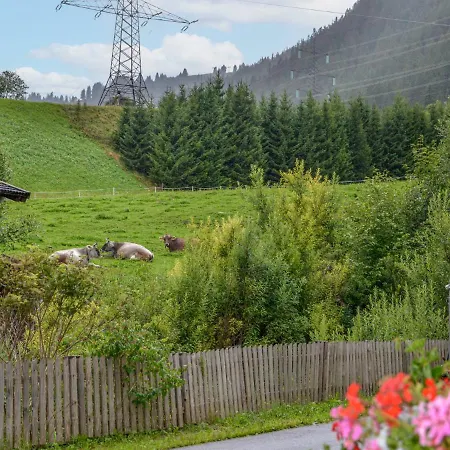 Schoengraben By Interhome Sankt Jakob am Arlberg